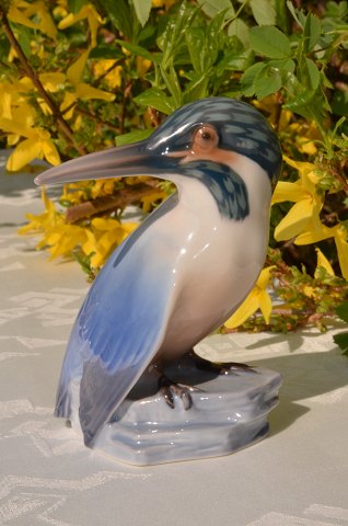 Bing & Grondahl  figurine  # 1619 Kingfisher