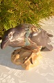 Bing & Grondahl stoneware  Figurine 1714 Crow