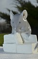 Royal Copenhagen Figurine Mouse 510