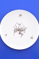 Rosenthal Romanze in Moll dinner plate